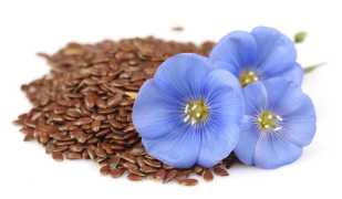 Эффективность и описание льняной диеты для похудения